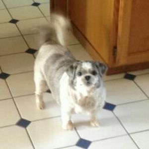 Meet your Posher, Kate